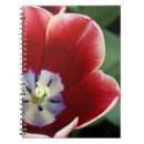 Zoek naar holland notitieboeken Toerisme