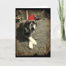 Zoek naar boxer dog kaarten Schattig