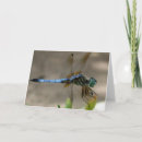 Zoek naar libel posters Fotografie