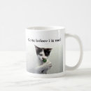 Zoek naar lolcats Schattig