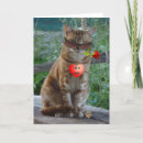 Zoek naar luv briefkaarten Kat