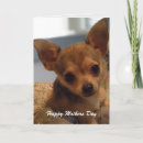 Zoek naar leuke chihuahua kaarten Hond