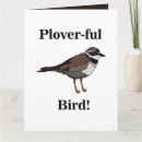 Zoek naar plevier posters Vogel