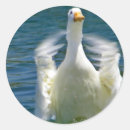 Zoek naar plak stickers Natuur