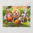 Zoek naar halloween briefkaarten Grappig