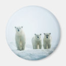 Zoek naar kubus magneten Dier