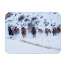 Zoek naar kwart magneten Boerderij