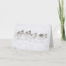 Zoek naar slee hond kaarten Siberisch