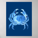 Zoek naar krab posters Marineblauw