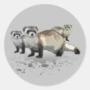 Zoek naar fretten stickers Grappig