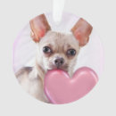 Zoek naar chihuahua hond ornamenten Dieren