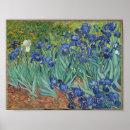 Zoek naar meesterwerk posters Vincent van gogh