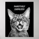 Zoek naar grappig dier posters Zwart wit