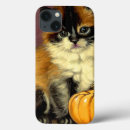 Zoek naar ragdoll iphone hoesjes Siamese