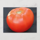 Zoek naar tomato briefkaarten Tomaten