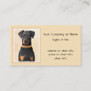 Zoek naar doberman visitekaartjes Pinscher