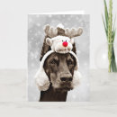 Zoek naar doberman kerstmis kaarten Pinscher