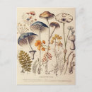 Zoek naar paddestoelen briefkaarten Bos