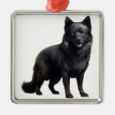 Zoek naar zwarte hond ornamenten Puppy