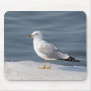 Zoek naar ijs muismatten Natuur