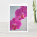 Zoek naar roze orchidee kaarten Bloem
