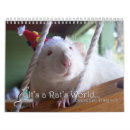 Zoek naar ratten kalenders Grappig