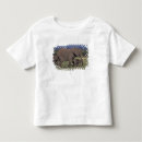 Zoek naar amboseli nationaal park kleuterkleding Olifant
