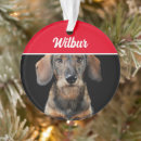 Zoek naar dachshund ornamenten Voor huisdieren