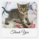 Zoek naar gestreepte kat stickers Tabletkat