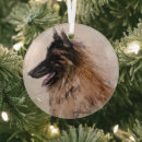 Zoek naar belgische herder ornamenten België