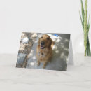 Zoek naar hond golden retriever verjaardagskaarten Schattig