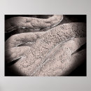 Zoek naar pathologie kunst Gezondheidszorg