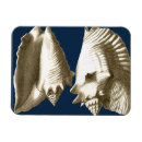 Zoek naar sépia magneten Sepia schelp