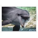 Zoek naar mooie dolfijn briefkaarten Dieren