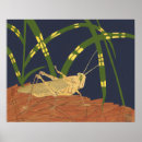 Zoek naar sprinkhaan kunst Insect