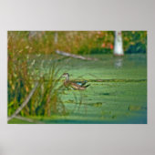 0003 POSTER (Voorkant)