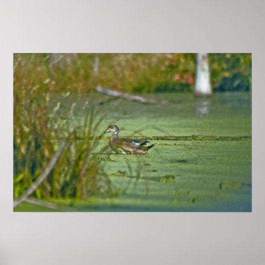 0003 POSTER (Voorkant)