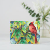 0004 CardinaalPostcard Briefkaart (Staand voorkant)