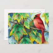 0004 CardinaalPostcard Briefkaart (Voorkant / Achterkant)