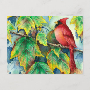 0004 CardinaalPostcard Briefkaart