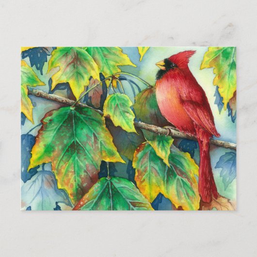 0004 CardinaalPostcard Briefkaart (Voorkant)