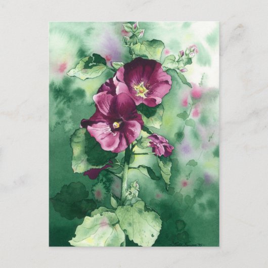0007 Dorothy's Hollyhocks Briefkaart (Voorkant)