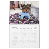 000_0011, OLIVER LOVES GRANDPA, kalender 2008 (Feb 2027)