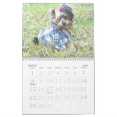 000_0011, OLIVER LOVES GRANDPA, kalender 2008 (Mar 2026)