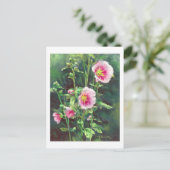 0013 Roze Hollyhocks Briefkaart (Staand voorkant)