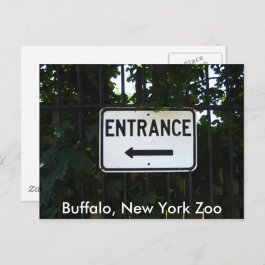 001, Buffalo, New York Zoo Briefkaart (Voorkant / Achterkant)