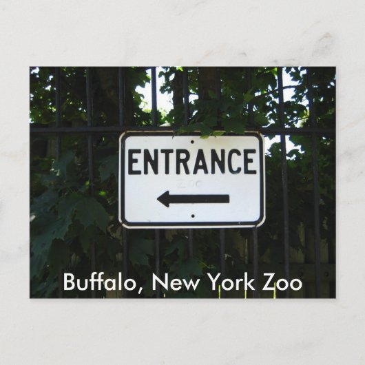 001, Buffalo, New York Zoo Briefkaart (Voorkant)