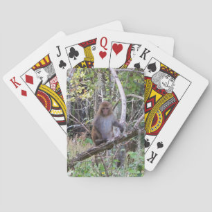 001a resusaap macaque aap pokerkaarten
