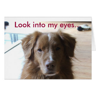 0029, kijk in mijn ogen...