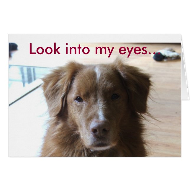 0029, kijk in mijn ogen... (Voorkant Horizontaal)